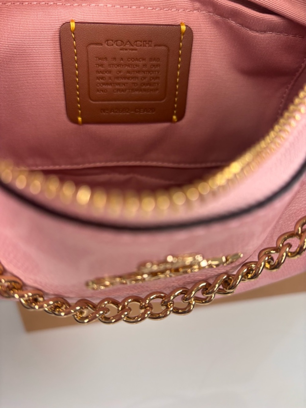 Coach Powder Pink Teri
Shoulder Bag with Charms
NEW CEA20 - Picture 5 of 13